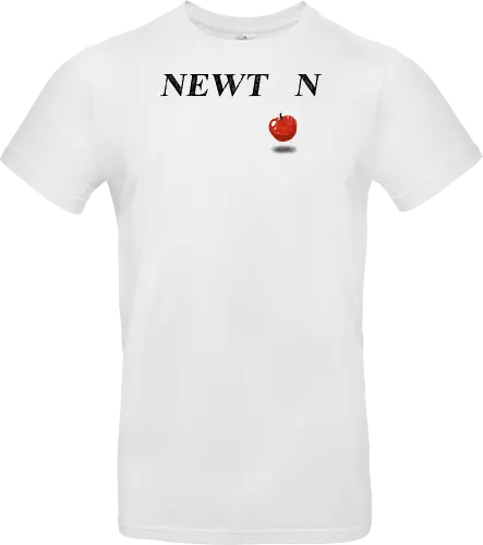 Newton