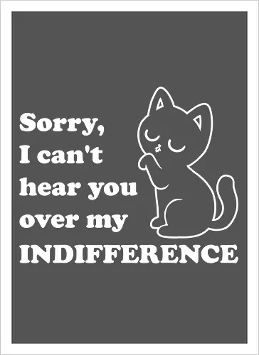 Cat Indifference