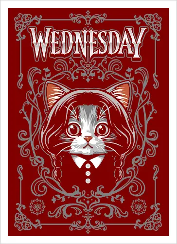Wednesday Goth Cat