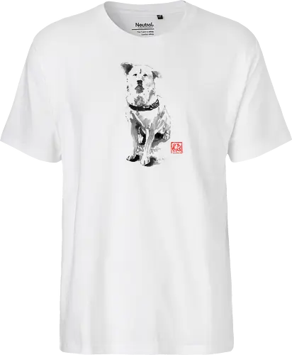 old dog
