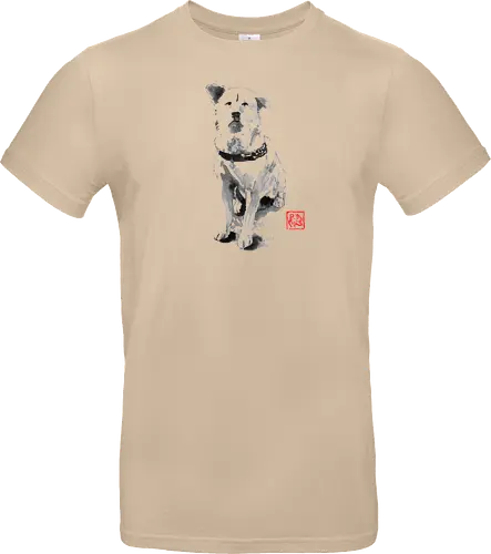 old dog