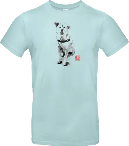 old dog