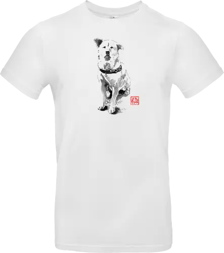 old dog