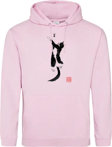 sleeping cat
