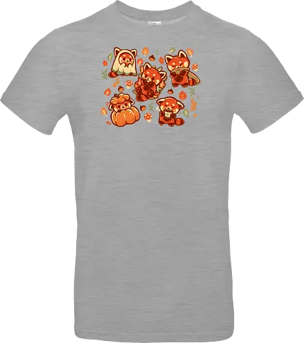 Red Panda Autumn Time