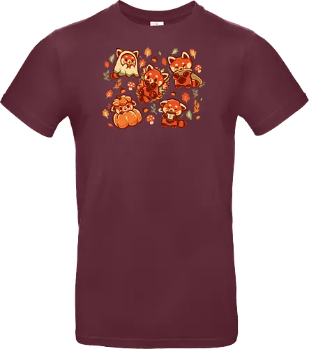 Red Panda Autumn Time