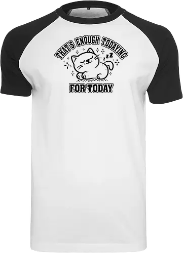 That's Enough Todaying For Today- Funny Cat