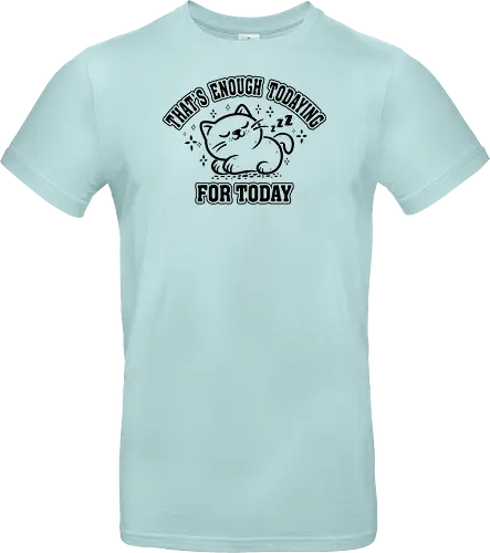 That's Enough Todaying For Today- Funny Cat