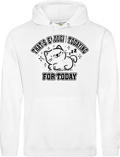 That's Enough Todaying For Today- Funny Cat