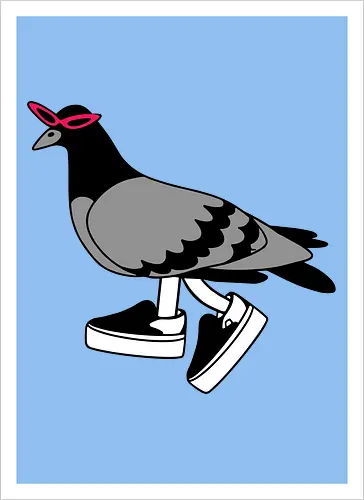 Pigeon Walks