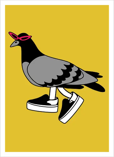 Pigeon Walks