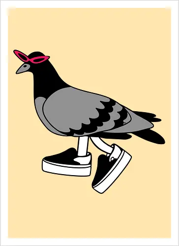 Pigeon Walks
