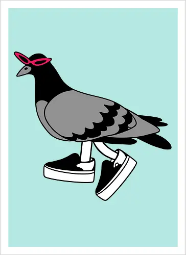 Pigeon Walks