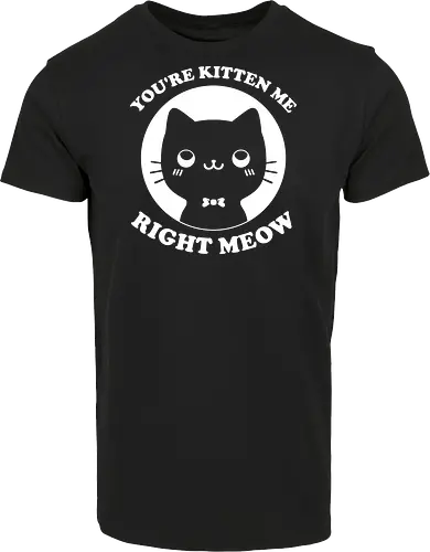 Cat Ironic Sarcastic Pun 