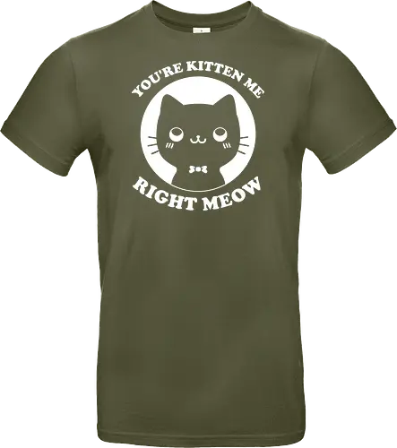 Cat Ironic Sarcastic Pun 