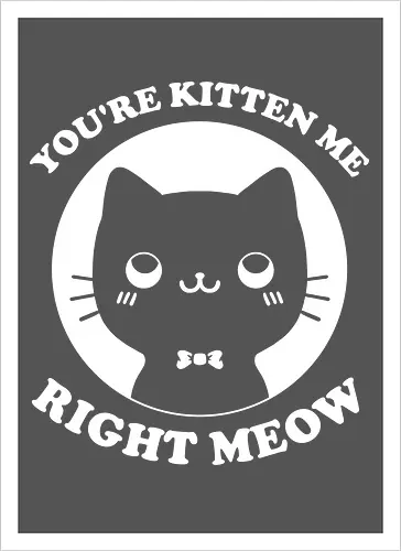 Cat Ironic Sarcastic Pun 