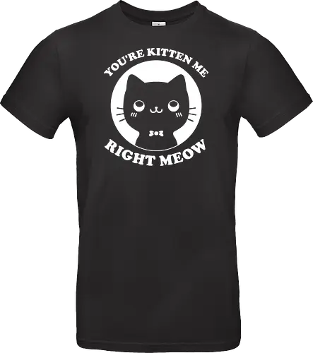 Cat Ironic Sarcastic Pun 