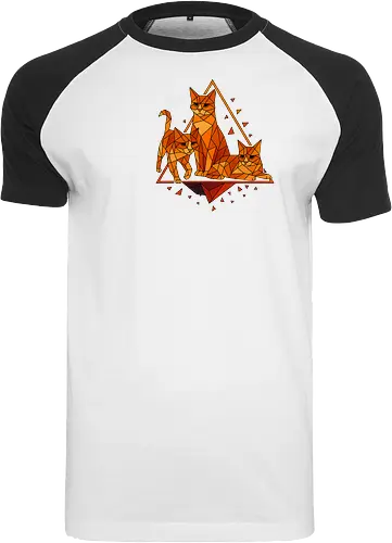 Polygon Cats