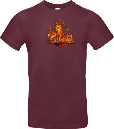 Polygon Cats