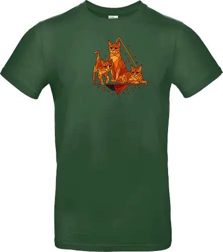 Polygon Cats