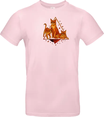 Polygon Cats