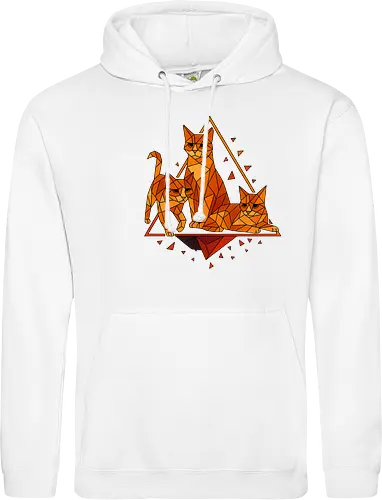 Polygon Cats