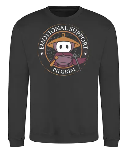 Emotional Support Pilgrim - Silksong, Bug Knight, sherma, Metroidvania, platform, steam gaming, hornet - Sweatshirt