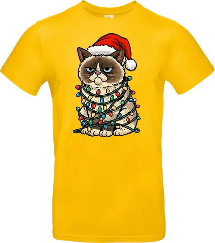 Jolly Christmas Cat