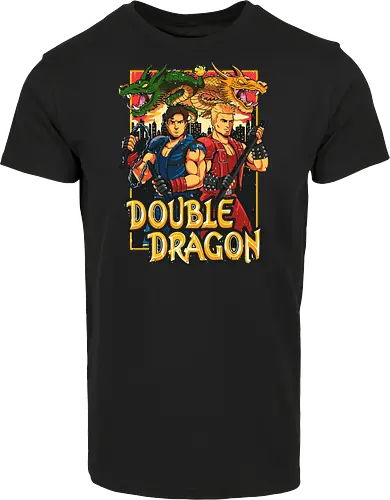 Double Dragon Style