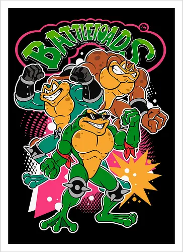 Battletoads Game