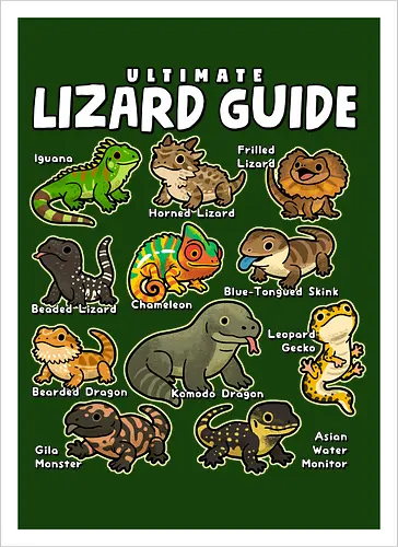Ultimate Lizard Guide