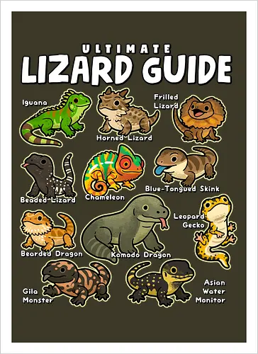 Ultimate Lizard Guide