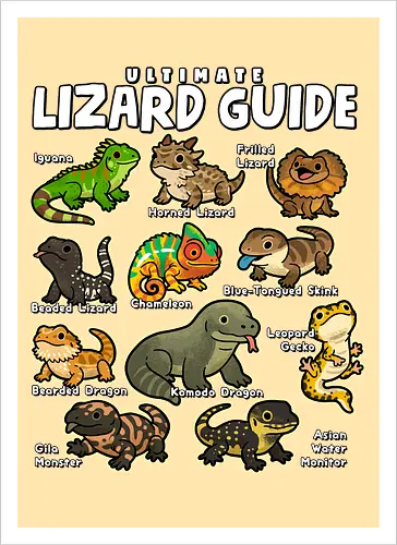 Ultimate Lizard Guide