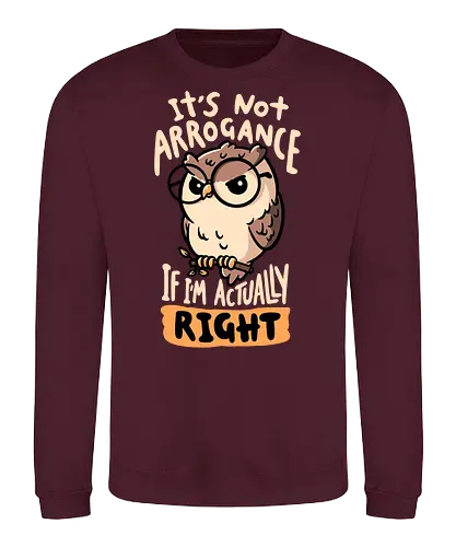 Actually Right Owl - koalatees, koala, owl, funny quote, always right, judgmental, bird, bird lover, nerd, geek, sarcastic, angry, ironic, book - Sweatshirt