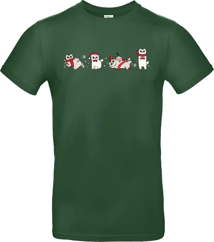 Tabby & Bailey – Catmas