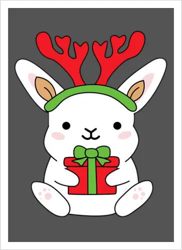  Rabbit With Gift 