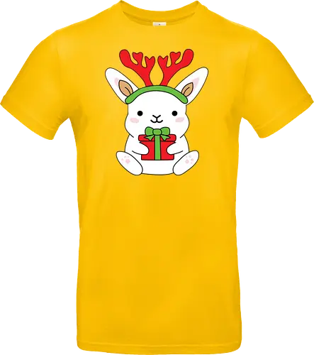  Rabbit With Gift 