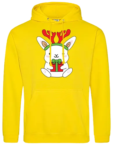 Rabbit With Gift 