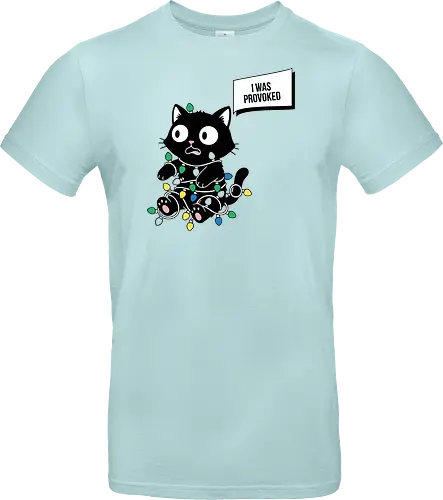  Christmas Cat: I Was Provoked