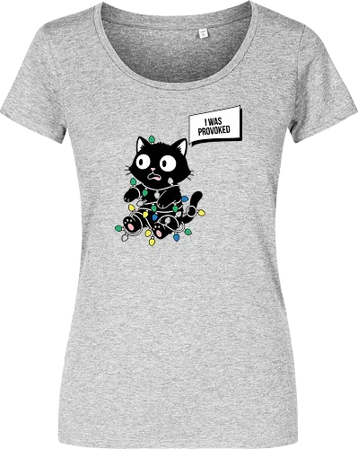  Christmas Cat: I Was Provoked