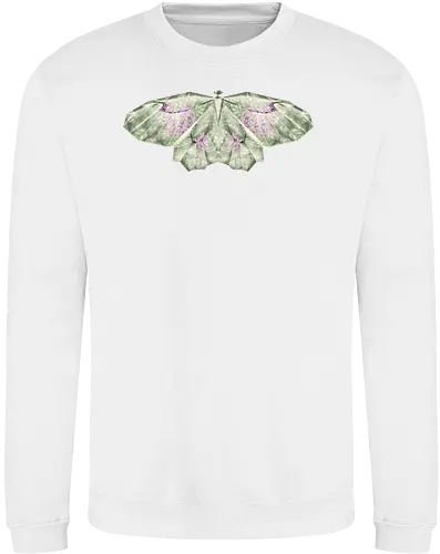 Butterfly Reflect