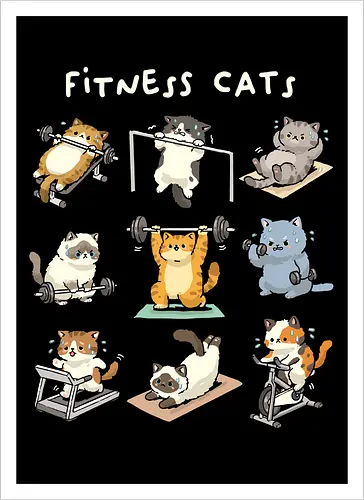 Fitness Cats