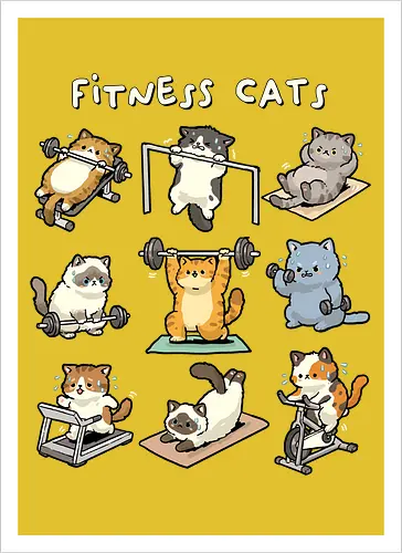 Fitness Cats