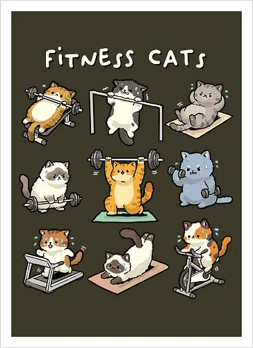 Fitness Cats