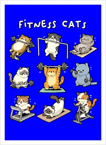 Fitness Cats