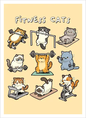 Fitness Cats
