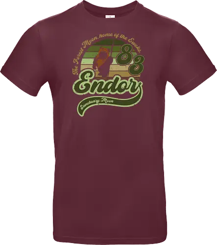 Vintage sanctuary moon