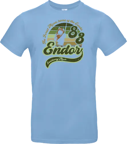 Vintage sanctuary moon