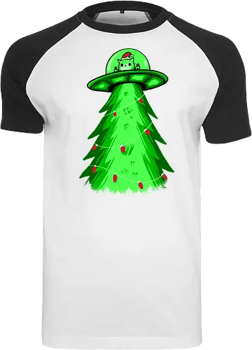 meow ter space delivery service