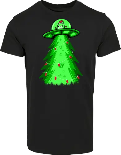 meow ter space delivery service